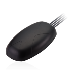 MA354.A.BICG.001